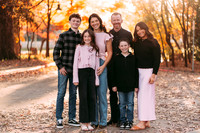 WILLIAMS FAMILY 2025